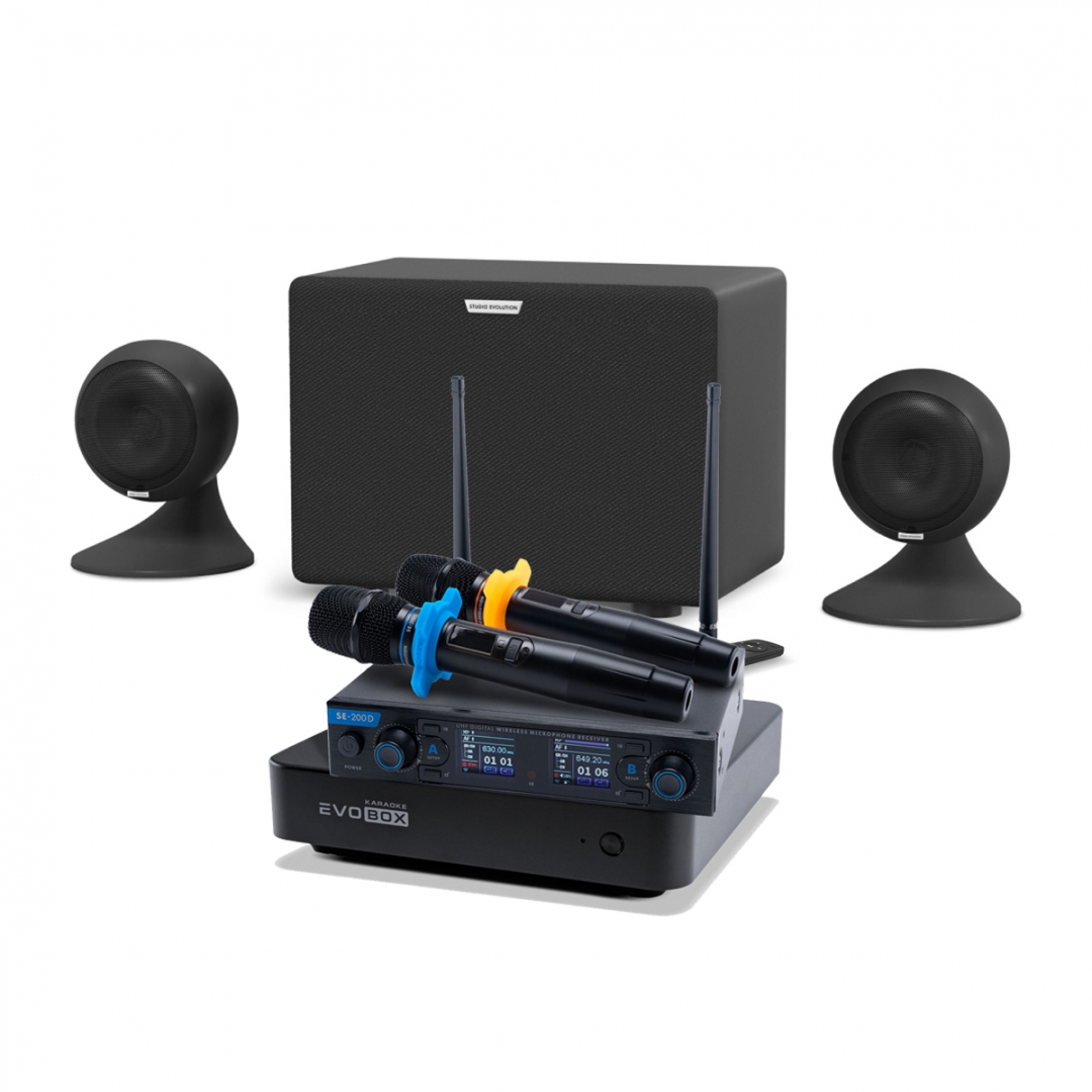 караоке-комплект EVOBOX + EvoSound Sphere 2.1 в Кирсанове