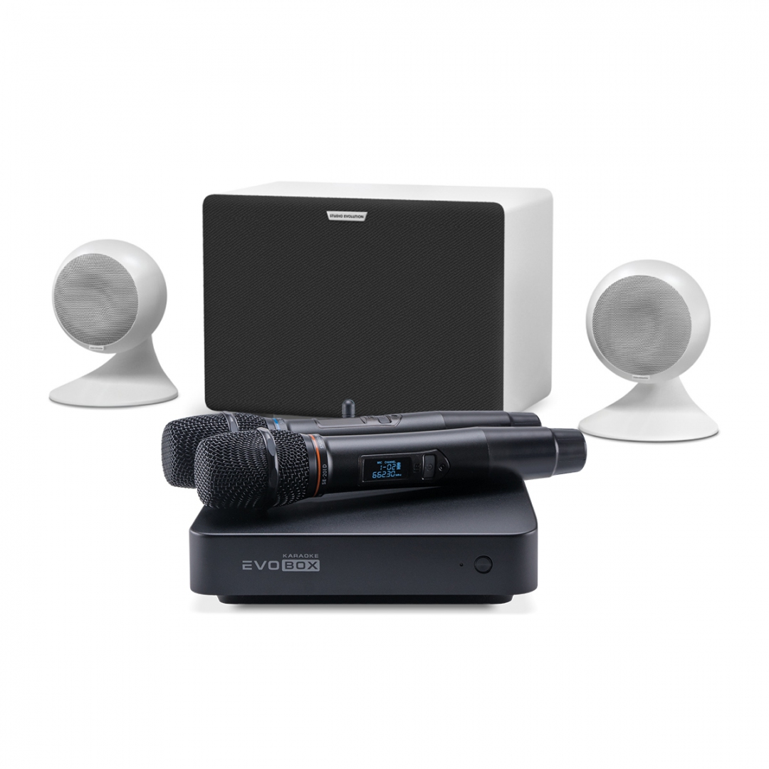 караоке-комплект EVOBOX Classic + EvoSound Sphere 2.1 в Кирсанове