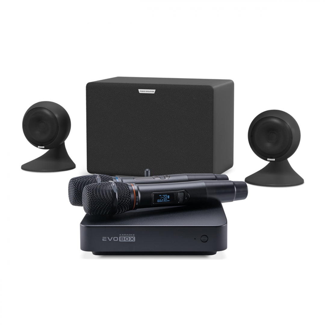 караоке-комплект EVOBOX Plus + EvoSound Sphere 2.1 в Кирсанове