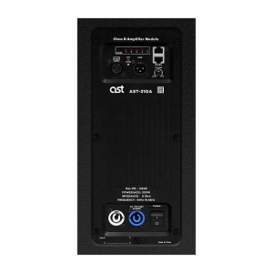 Активная акустическая система AST-310A в Кирсанове