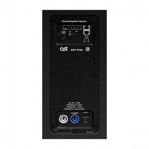 Активная акустическая система AST-312A в Кирсанове