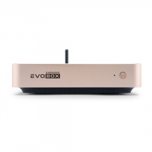 EVOBOX Plus караоке-система для дома в Кирсанове