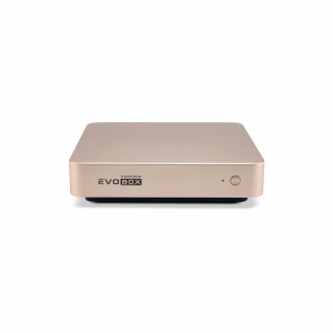 EVOBOX с микрофонами в Кирсанове